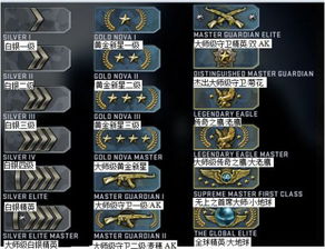 csgo 被系统,CS:GO玩家遭遇系统误封，如何应对与解决