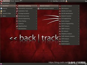 backtrack系统,网络安全领域的传奇工具