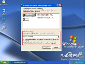 64位xp系统中文,回顾与展望