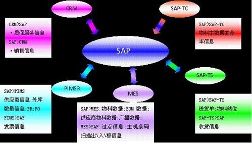 erp系统和sap系统的区别,深入解析两者的区别