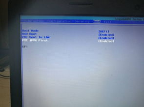 efi u盘装系统,使用EFI U盘轻松安装操作系统