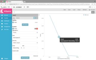 elk日志管理系统,构建高效日志解决方案