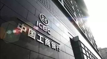 ciis系统,全面解析其功能与价值