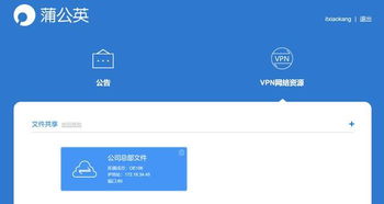 bt共享发布系统,技术原理与实际应用