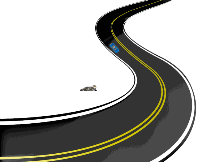 ESP系统窗品牌,引领门窗行业新潮流