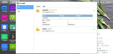 BT 发布系统是,BT应用系统采用的体系结构是