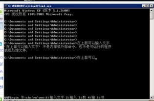 dos汉字系统,DOS汉字系统的历史与发展