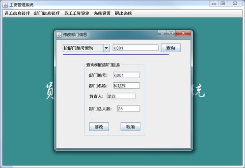access工资系统,高效、便捷的工资管理解决方案