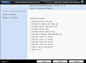 dell r710 系统安装系统