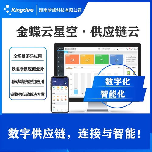 erp系统金蝶,助力企业数字化转型，提升管理效率