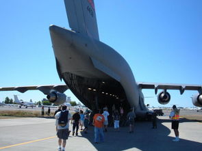 c17系统,C17黑色黑色