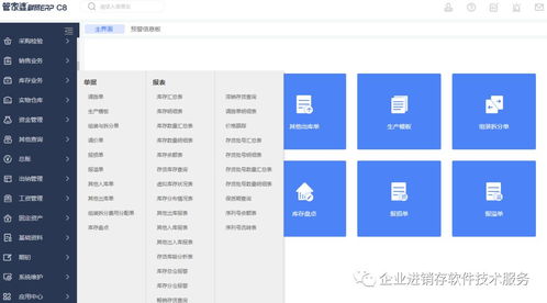 erp进销存管理系统,企业高效运营的得力助手