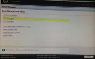 dell r730 安装系统,戴尔R730服务器系统安装指南