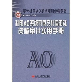 AO系统使用,高效企业管理的利器
