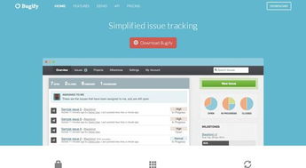 bug跟踪管理系统,提升软件开发效率的关键工具