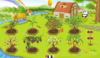 330农场系统开发,创新农业管理新篇章