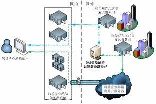 cns系统,揭秘人体智慧的核心