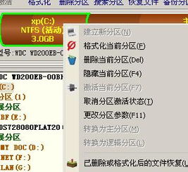 dos系统格式化,DOS系统格式化的详细教程