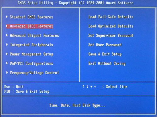 dos系统怎么操作,入门到进阶