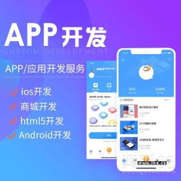 app定制系统,为企业打造专属移动解决方案