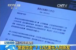 apf外汇系统骗局,投资者需警惕的陷阱