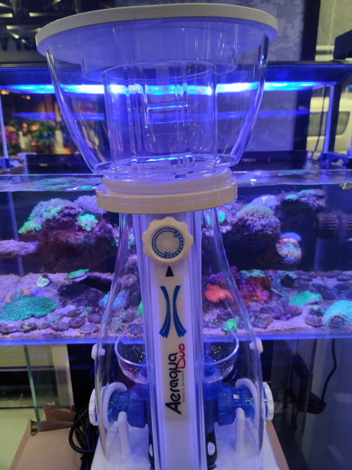 60海缸过滤系统,60海缸过滤系统配置与维护指南