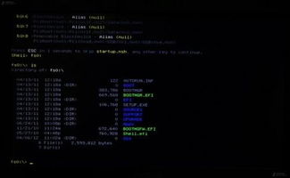 efi系统 gpt,双系统共存的奥秘