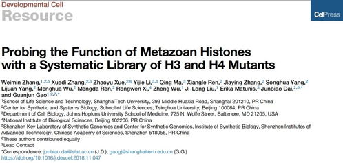 EKP系统变美文,企业知识管理的美丽蜕变