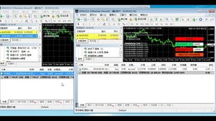 ea自动交易系统,外汇市场的智能助手