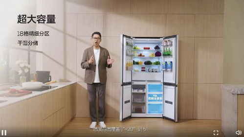 0嵌双系统双循环冰箱,创新设计引领现代厨房潮流