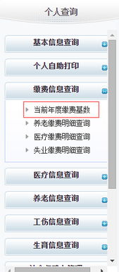 chasfz查询系统,功能、应用与优势