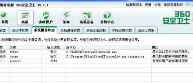 360系统服务状态,功能、作用及操作指南