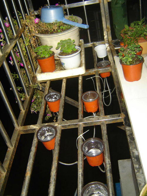 diy自动浇灌系统,打造你的智能花园