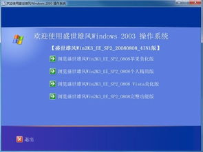 2003系统版本,深入了解Windows Server 2003系统版本及其适用范围
