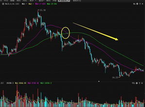 8均线系统,深入解析8均线系统在股票交易中的应用