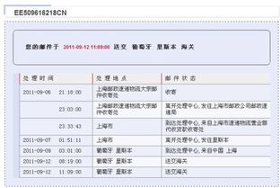 ems海关查询系统,深入了解EMS海关查询系统——您的包裹通关助手