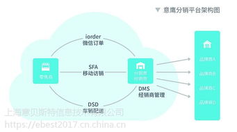 dms营销系统下载,助力企业提升营销效率与客户满意度