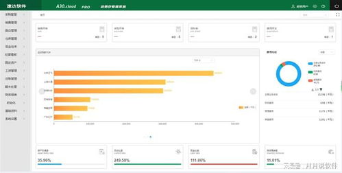 erp管理系统介绍,企业高效运营的数字化利器