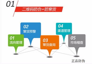 dfs防伪系统,技术革新下的产品安全保障