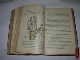 31会议系统解剖学,31会议官网