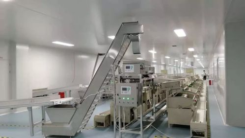 茶叶加工机械自动化设备,引领茶叶产业升级的“新引擎”