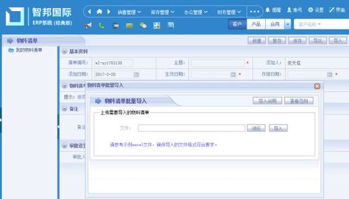 erp系统的基础数据,ERP系统基础数据的重要性与设置指南