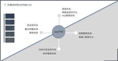 (系统开发)外包,企业提升效率与降低成本的明智选择
