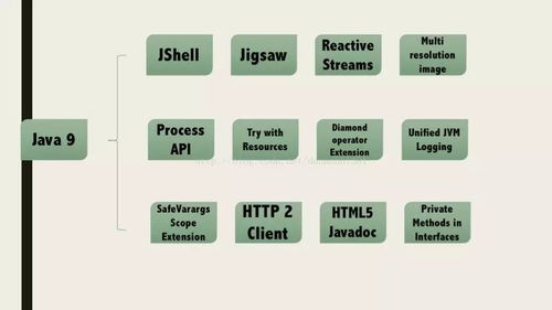 dvd系统java,Java技术的应用与实践