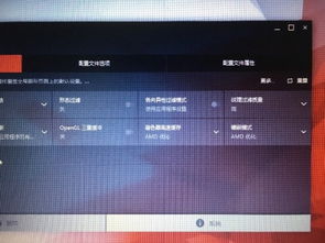 AMD对win10系统,amd核显驱动官网