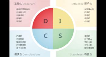 disc系统,什么是DISC系统？