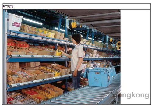 dps拣选系统,提升仓储物流效率的智能解决方案