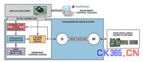 6大调理系统,揭秘生命的修复密码
