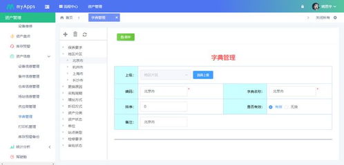 bpm系统登录,高效便捷的流程管理之道