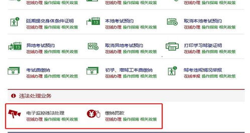 c1证扣分查询系统